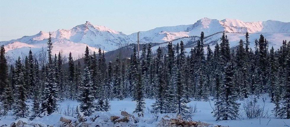 Denali Touch Of Wilderness B&B ฮีลี ภายนอก รูปภาพ