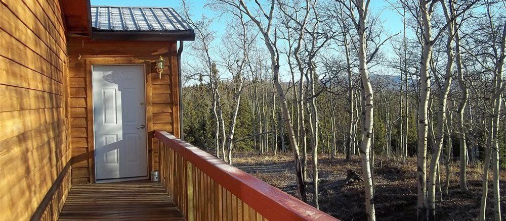 Denali Touch Of Wilderness B&B ฮีลี ภายนอก รูปภาพ